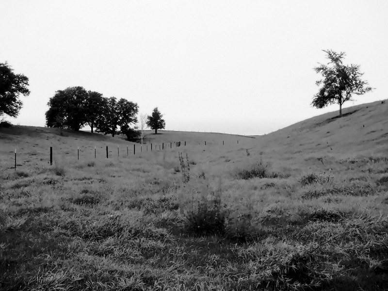 Fenced pasture running between two grassy hills